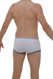 Boxer Morrier White