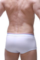 Boxer Morrier White