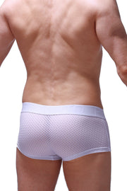 Boxer Reotier Bee White