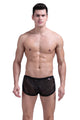 Snap Shorts PetitQ Black